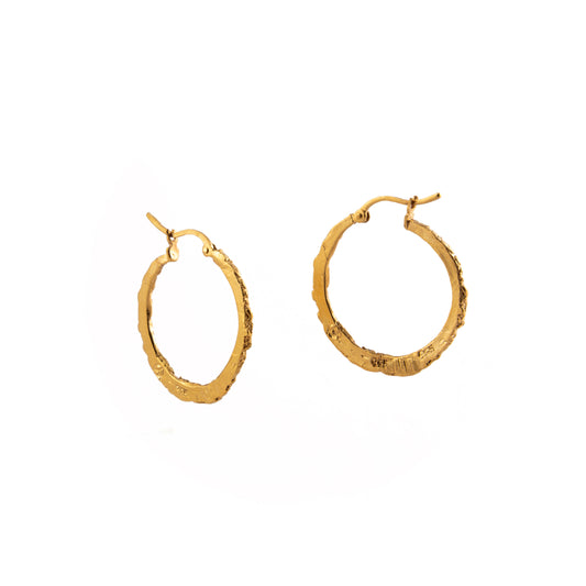 ARETES PLATA CON BAÑO EN ORO #8098