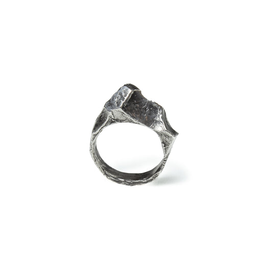 ANILLO NATURA PLATA #8004