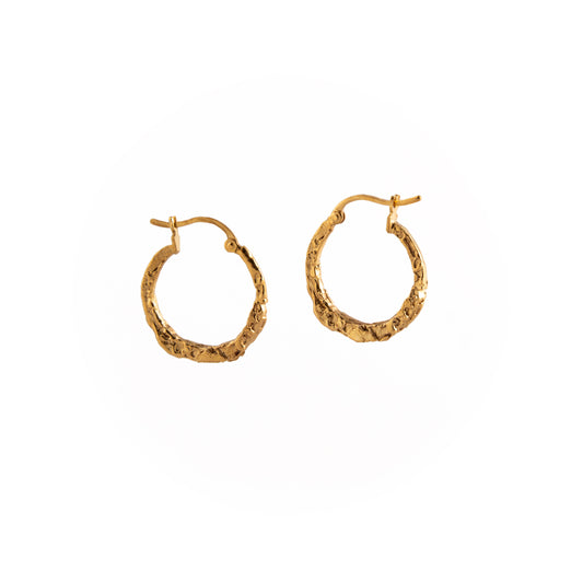 ARETES PLATA CON BAÑO EN ORO #8099